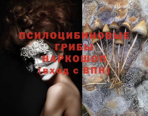 круглые Алексеевка
