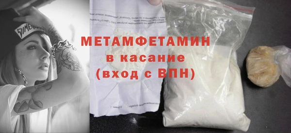 прущие грибы Приозерск