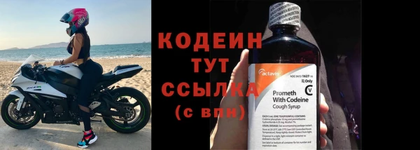 прущие грибы Приозерск