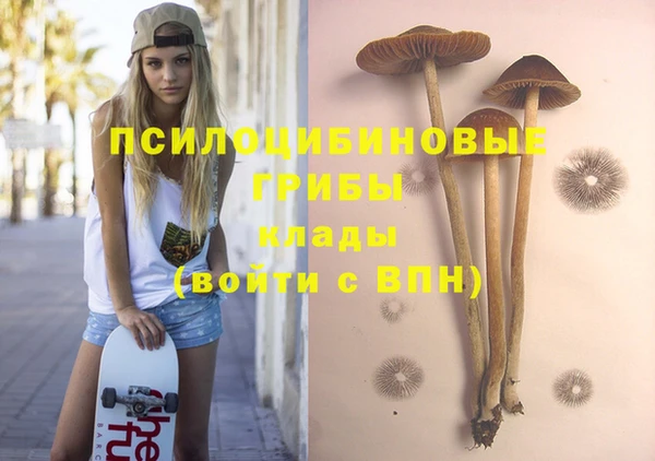 гашиш Протвино