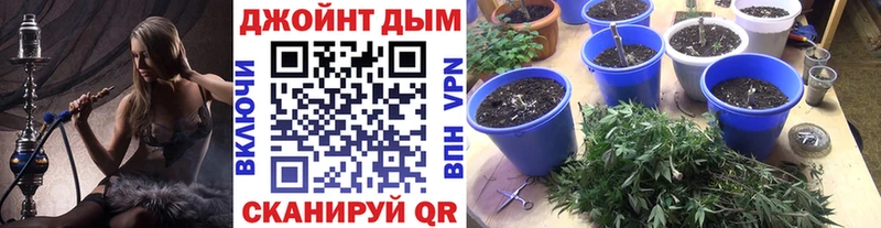 Каннабис семена  магазин продажи   Дыгулыбгей 